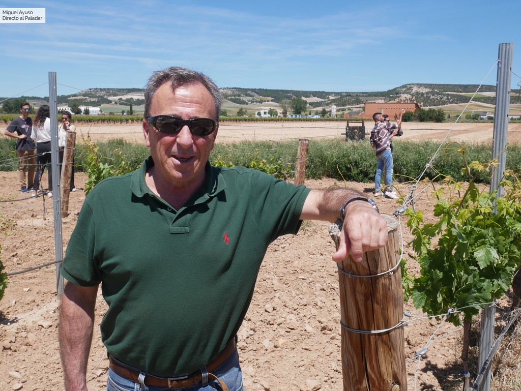 Es uno de los mejores enólogos de España, pero su mayor reto ha sido producir un vino sin alcohol que sea bebible