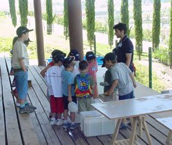 Diviértete aprendiendo en verano
