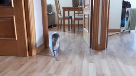 Galaxya3 Nela Movimiento