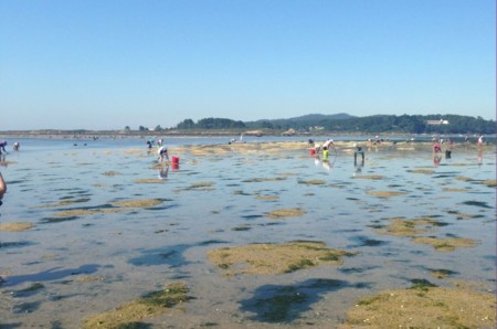 11 cosas que puedes hacer en la ruta del vino D.O. Rías Baixas