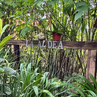 'La Aldea': el lugar secreto en Edomex rodeado de naturaleza, donde aprenderás a comer de forma sustentable