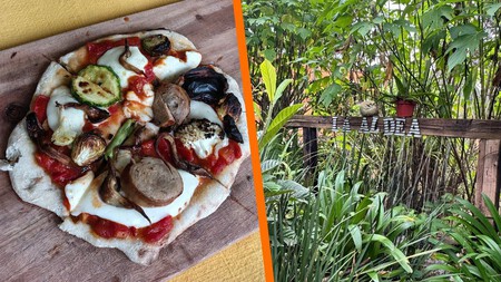 'La Aldea': el lugar secreto en Edomex rodeado de naturaleza, donde aprenderás a comer de forma sustentable