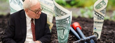 Warren Buffett ha sido el inversor más exitoso de la historia. Por qué es difícil que ni su sucesor ni nadie pueda repetir su hazaña