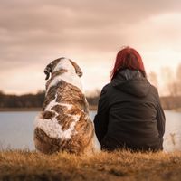 Viajar con mascotas: los destinos más 'dog friendly' del mundo
