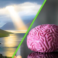 En busca del "botón de Dios": qué le pasa al cerebro cuando rezamos o meditamos, esto dice la neurociencia 