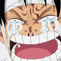 Hace 15 años 'One Piece' nos partió el corazón con este capítulo, pero era un evento inevitable que marcaría un antes y un después para el anime 