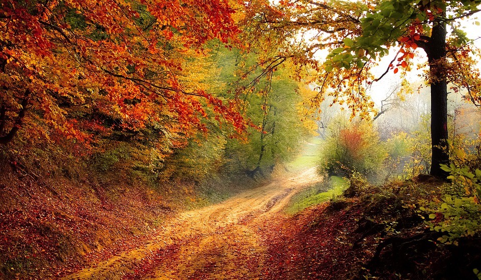 Compañeros de Ruta: encarando el otoño