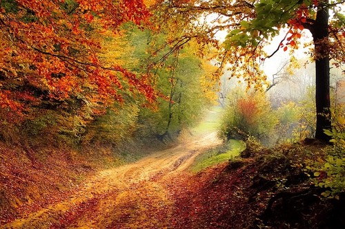 Compañeros de Ruta: encarando el otoño