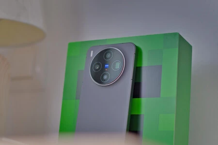 Vivo X300