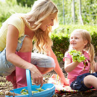 Haz jardinería con tus hijos: 11 beneficios y cómo disfrutar de esta actividad con los niños