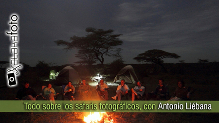 Todo sobre los safaris fotográficos, con Antonio Liébana