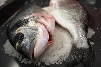 El pescado en la alimentación infantil: pescados semigrasos
