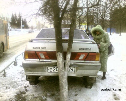 Aparcamiento entre árboles