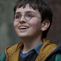 HBO acaba de alegrar mucho a los fans con la elección de James y Lily para el reparto de la serie de Harry Potter  