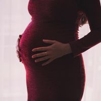 Séptimo aborto por listeriosis y nueva alerta sanitaria por carne mechada 'Sabores de Paterna'