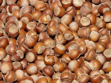 7 frutos secos con mucha proteína que podrían reemplazar la carne