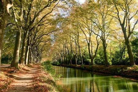 Canaldumidi 