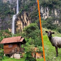 Parece un paisaje europeo, pero es Veracruz: esta impresionante cascada está entre casas de madera y bosque
 