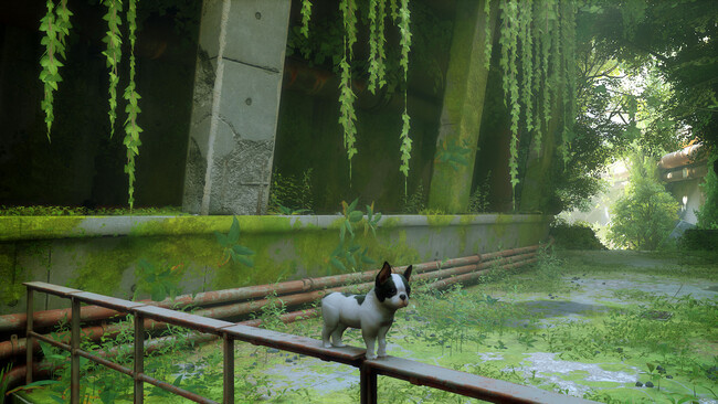 Stray Mod
