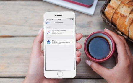 Los casos Netflix, Fortnite y Steam frente al futuro de las suscripciones en la App Store