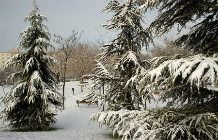 Madrid bajo la nieve