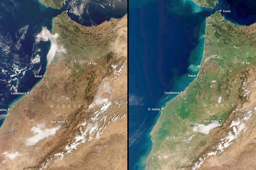 Imágenes satelitales no dejan lugar a dudas: llovió tanto que Marruecos que no se veía así de verde en una década