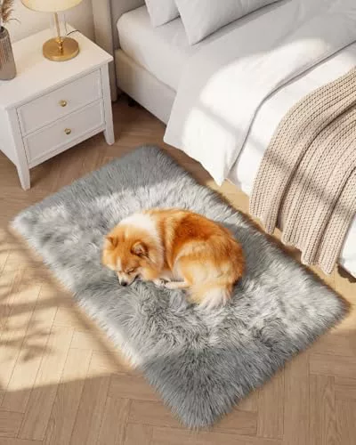 Gofodsil Alfombra de área para dormitorio, 60 x 90 cm, antideslizante