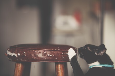 Gato Rascadores 1