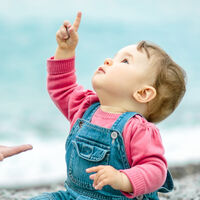 El bebé señala con el dedo: su primer gesto comunicativo 