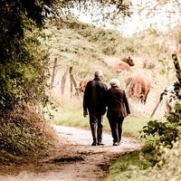 ¿Me afectará la posible reducción del IRPF? Así será la nueva reforma fiscal que beneficiará a casi un millón de jubilados 