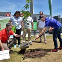 El Champions Garden de COTA ya tiene el árbol de Jorge Lorenzo