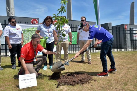 El Champions Garden de COTA ya tiene el árbol de Jorge Lorenzo