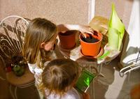 Plantando flores para mamá 