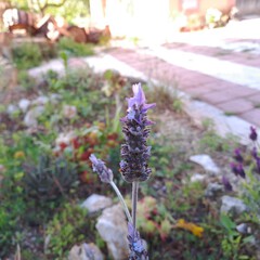 image01