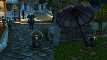 World Of Warcraft Pavo World Of Warcraft Pavo