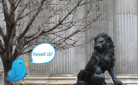 Del Congreso y de Twitter, una nueva especie: el diputuitero