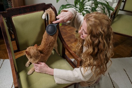 Mejores Cepillos Para Gatos