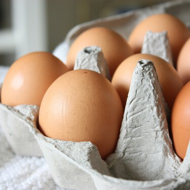 Antes de tirar los cartones de huevos, mira esta idea para reutilizarlos y convertirlos en una bonita decoración para casa 