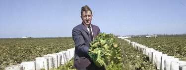 El hombre que intentó convertir la lechuga en tabaco, y cómo el mítico episodio de Los Simpsons nos mostró otro camino