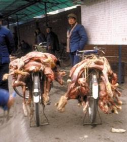 China cambia su dieta: más carne y menos agua