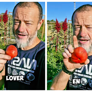 Lo que nunca tienes que hacer con los tomates comprados o de tu huerto, según un experto: "Estás tirando tu esfuerzo" 
