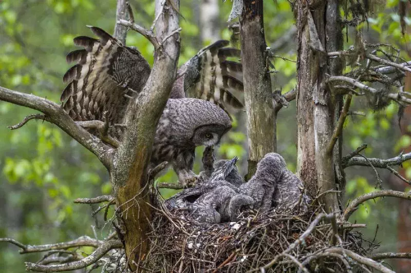 Foto de De 15 a 17 años (1/6)