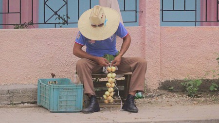 Fruta 1