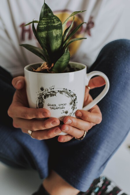 3 ideas que puedes realizar con las tazas viejas: una opción para darles una nueva oportunidad sin tirarlas