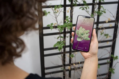 Apple iPhone XS Max de 64GB con 170 euros de descuento y envío gratis en el 11-11 de eBay