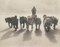 Gracias a una expedición a la Antártida, descubrimos que nunca debemos comernos un perro husky