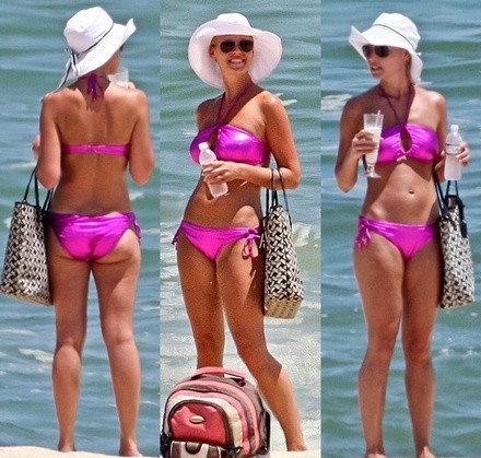 Anatomía de... Katherine Heigl en bikini