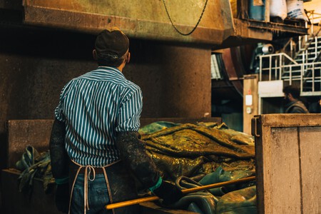 Pexels Oguz Kaan Boga 19166252 17315564