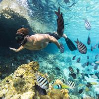 Las Bahamas se convierte en el primer país que prohibe los plásticos
