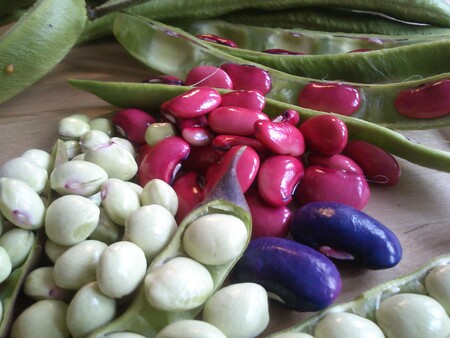 Las siete legumbres con más fibra para calmar el hambre sanamente y 31 recetas para incluírlas en nuestra dieta